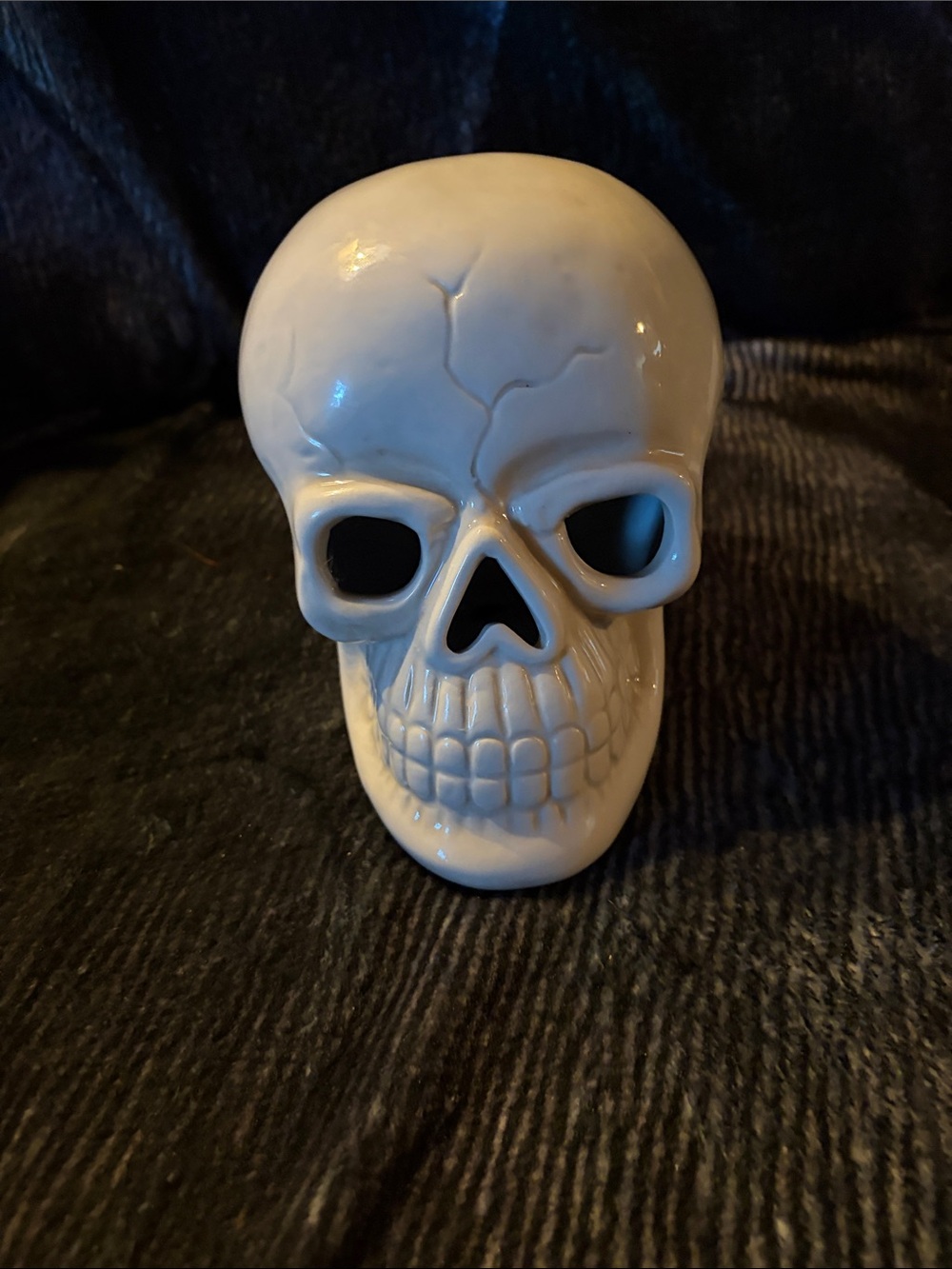 Light Up Decorative Ceramic Skull Accent - White